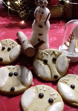 Une photo de Petits gâteaux renards des neiges