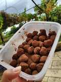 Chocolate Truffles