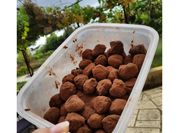 Une photo de truffe chocolat