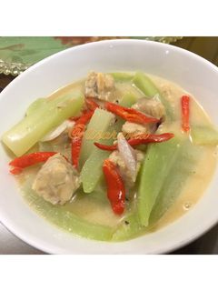 Foto resep Labu Siam + Tempe Kuah Santan