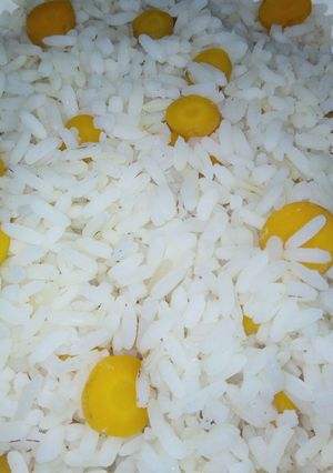 A picture of Carrot Rice.