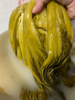 Foto resep Sawi Asin
