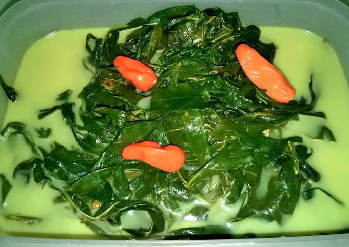 Resep Daun Singkong Masak Santan Oleh Retno Setia Cookpad