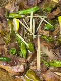 Namkeen Gosht