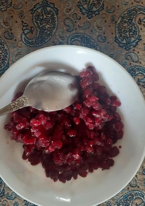 عکسی از دستور یخ در بهشت انار