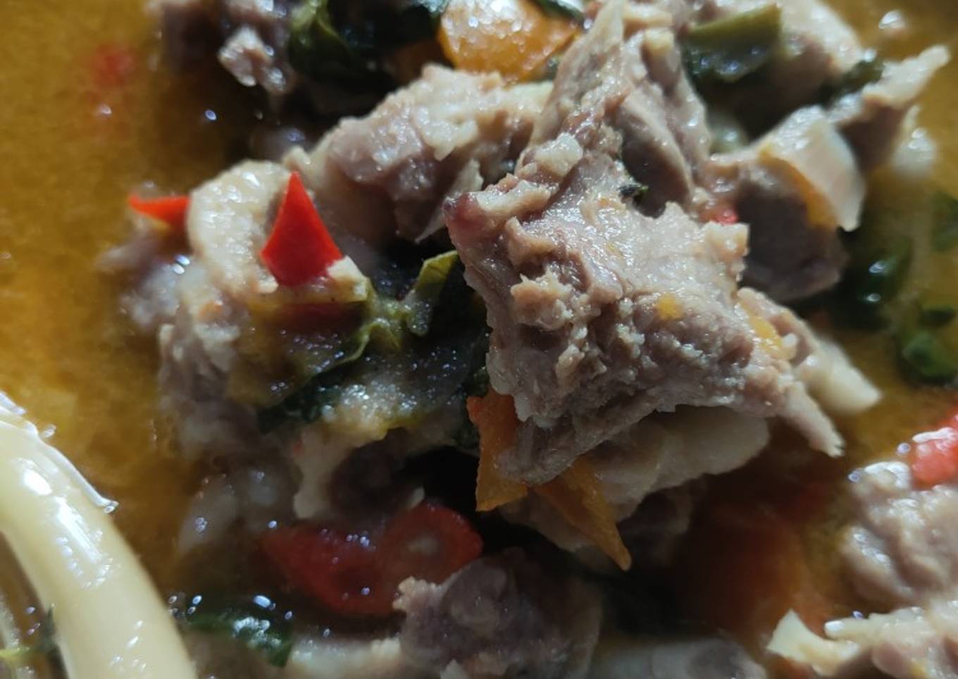 Kuas Asam pedas B2