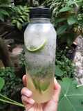 Lime Squash