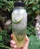 Lime Squash