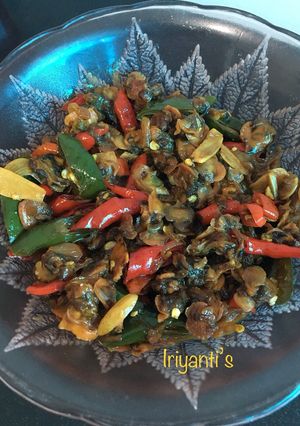 Foto resep Tumis Kerang Saus Tiram