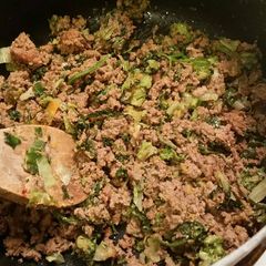 A picture of Easy Potsticker Filling.
