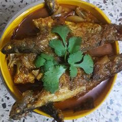 A picture of Pona Jhal.
