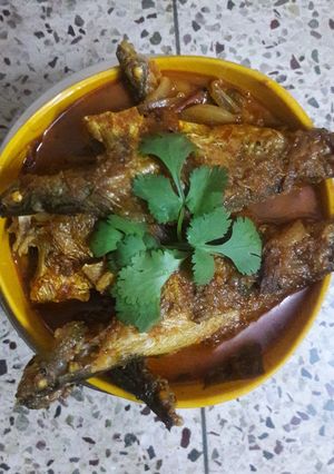 A picture of Pona Jhal.