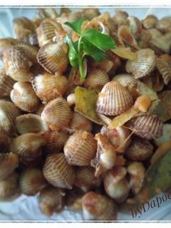 Foto resep Kerang Saos Padang