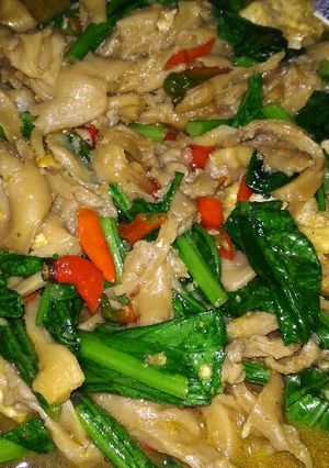 Foto resep Tumis jamur tiram sawi ijo+tahu