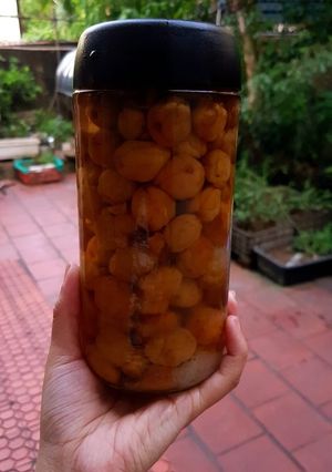 Hình của món Mơ muối để mãi không hỏng.