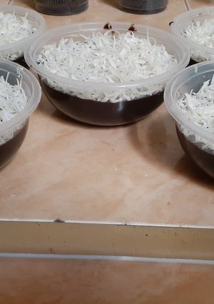 Foto resep Puding brownis