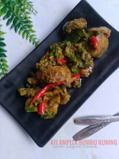 Foto resep Ati Ampela Bumbu Kuning