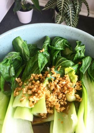 Foto resep Pokcoy saus tiram