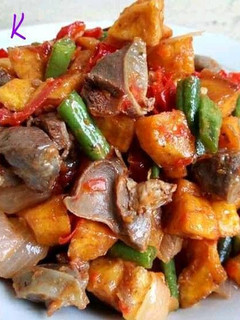 A picture of Gizzard dodo.