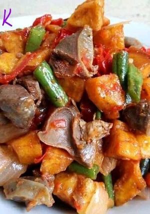 A picture of Gizzard dodo.