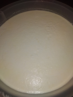 عکسی از دستور ماست خامه ای