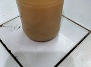 Gambar jahe merah bawang putih