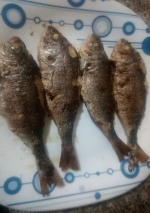 Une photo de Poissons grillés