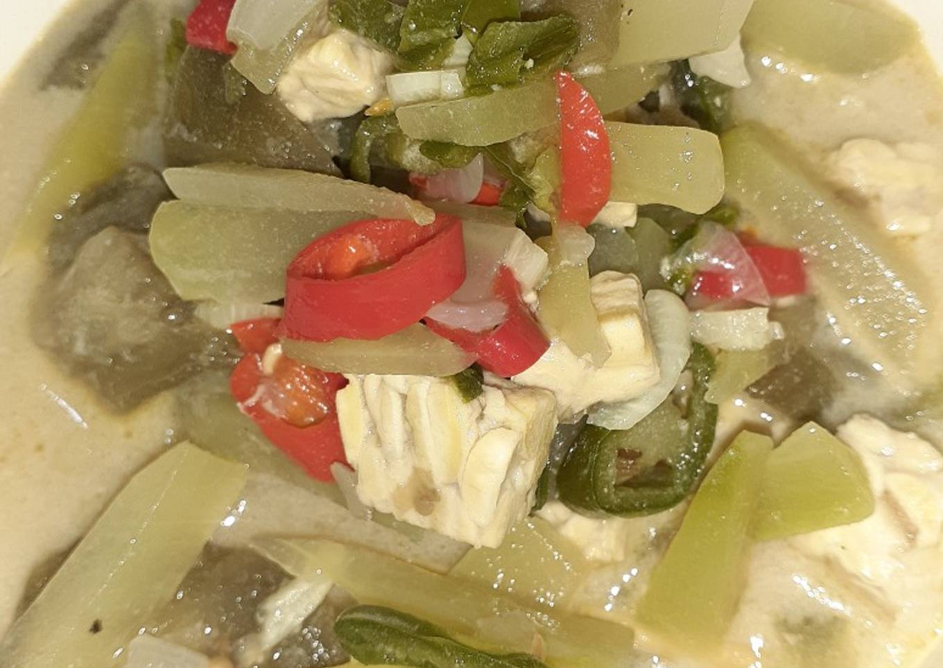 Sayur Lodeh (Labu, Terong, Tempe)