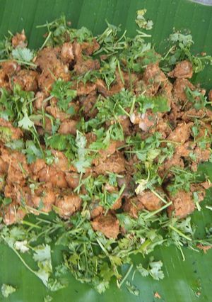 A picture of Bamboo chicken.