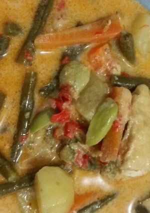 Foto resep Sayur lodeh pedas