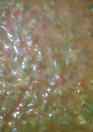 A picture of Snake Gourd Dal.