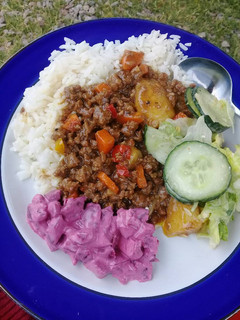 A picture of Robot peppers mince.