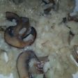Risotto de setas