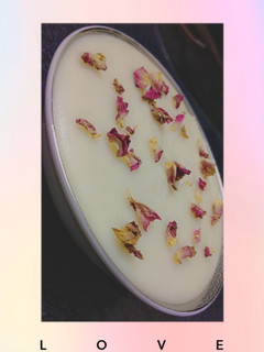 عکسی از دستور فرنی ساده