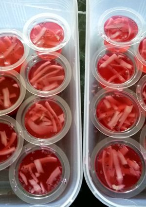 Foto resep Agar2 kelapa muda selasih