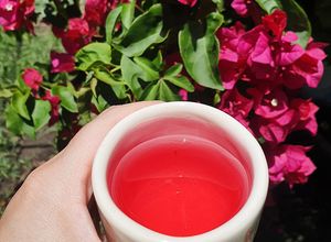 Una foto de ☕ 🌺 Infusión de Santa Rita o Buganvilla