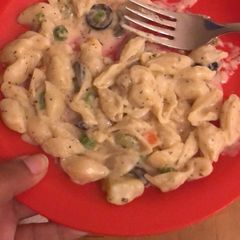 A picture of White sauce pasta.