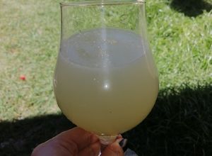 Una foto de Limonada 🍋🍋