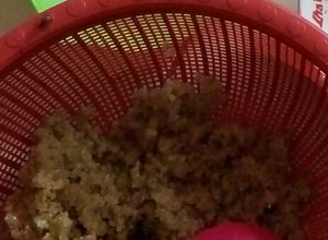 Foto resep Nasi/oyek singkong orang sunda 😁 org jawa bilang nasi tiwul