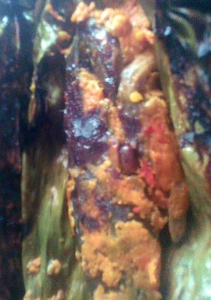 Foto resep Brengkes lele ala kakak qw