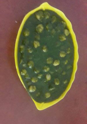 A picture of Chola in palak gravy.
