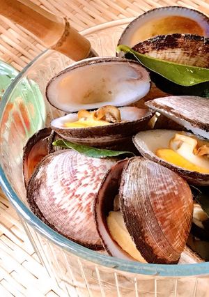 Hình của món Ngao Hoa Hấp Lá Chúc Chấm Mắm Gừng.