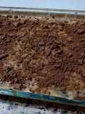 Postre frío de galletas de chocolate