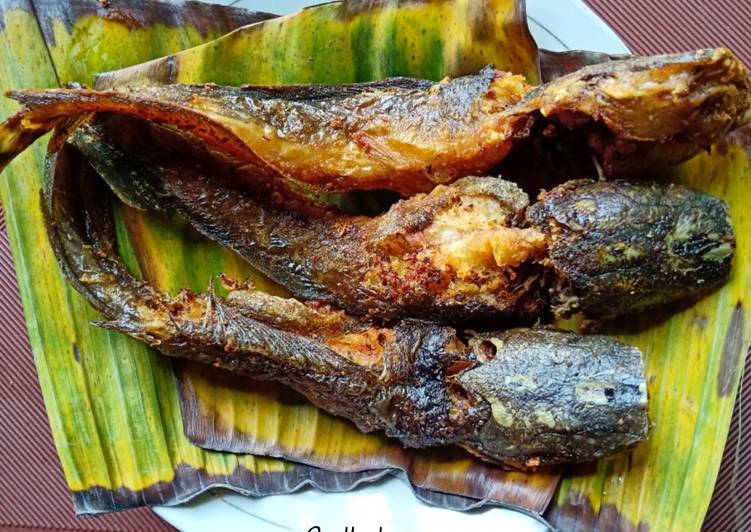 Cara Membuat Ikan Lele Goreng farah quinn
