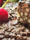 Choco Rice Crispy n Crackers (No Bake) #PR_olahancoklat