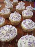 Cupcakes de vainilla