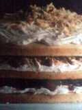 Toasted coconut cake w/ walnuts & cranberries