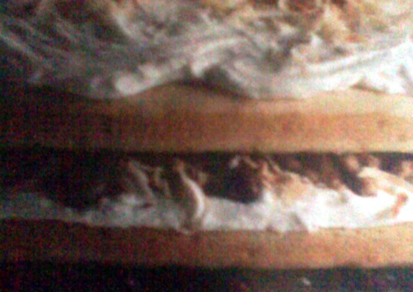 Fried coconut cake with nuts and berries