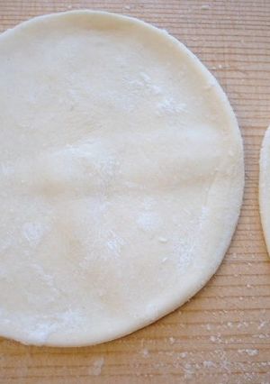 A picture of Chewy Homemade Dumpling Wrappers.