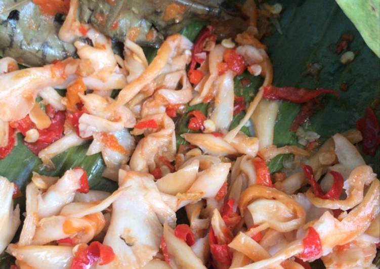 Pepes plecing jamur tiram